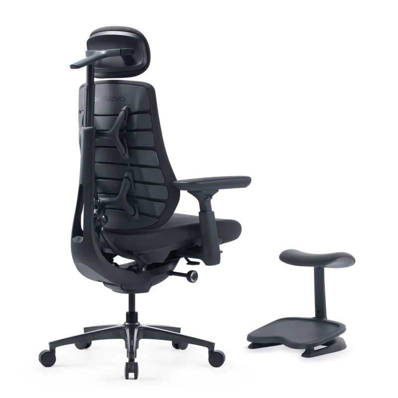 LiberNovo Maxis Dynamischer Ergonomischer Stuhl
