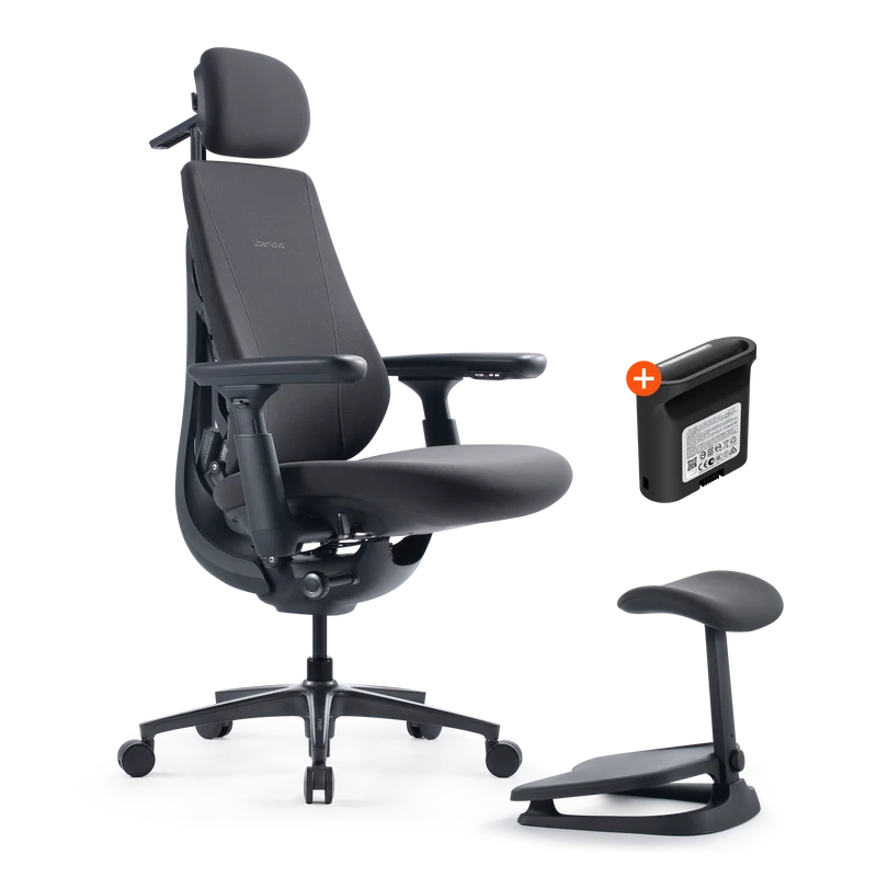 LiberNovo Maxis Dynamischer Ergonomischer Stuhl