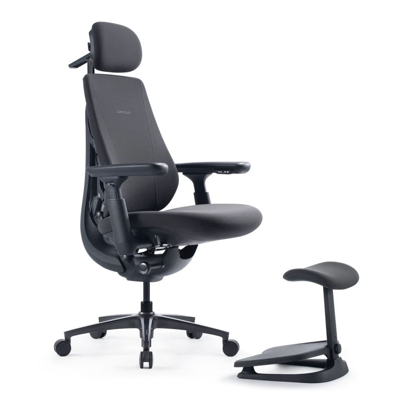 LiberNovo Maxis Dynamischer Ergonomischer Stuhl