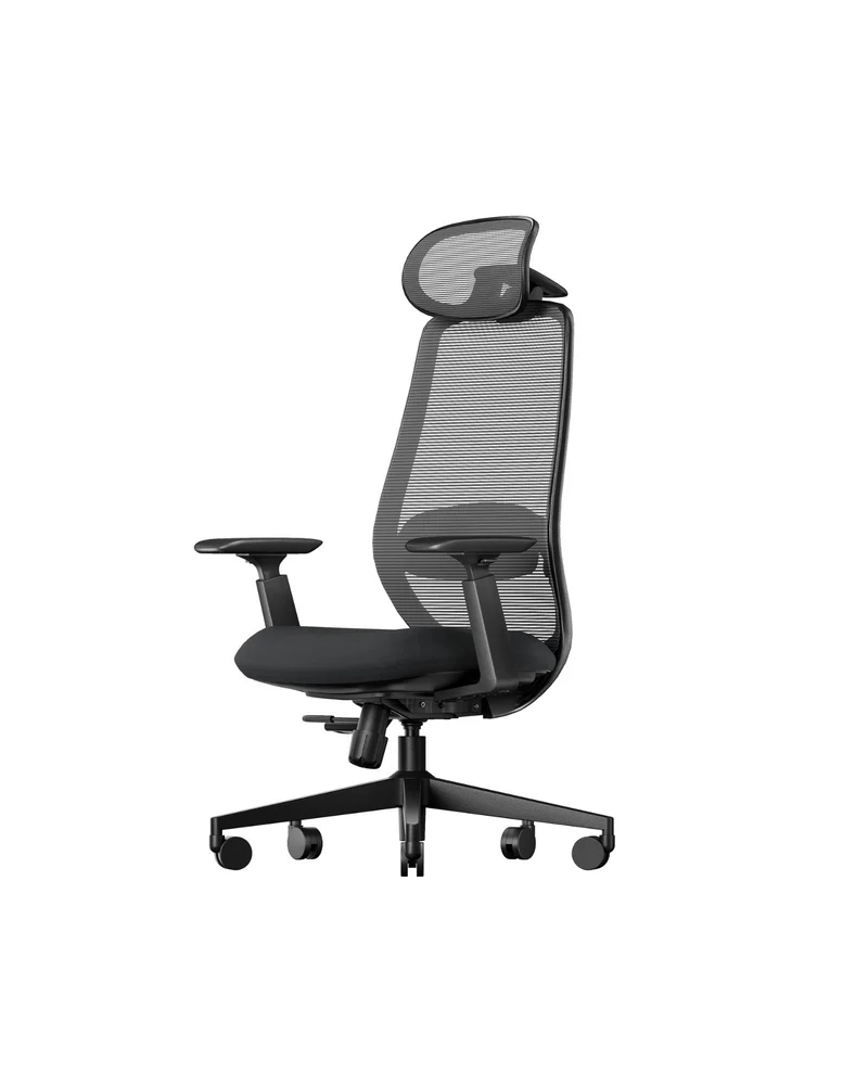 EC200 Ergonomic Office Chair