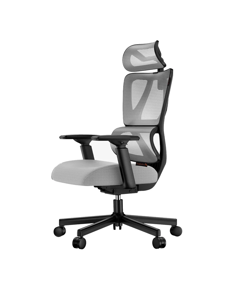 EC100 Ergonomic Office Chair
