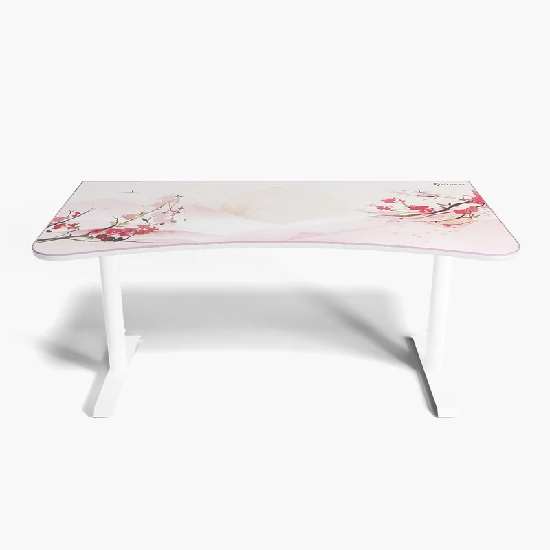 Arena Gaming Desk - Large