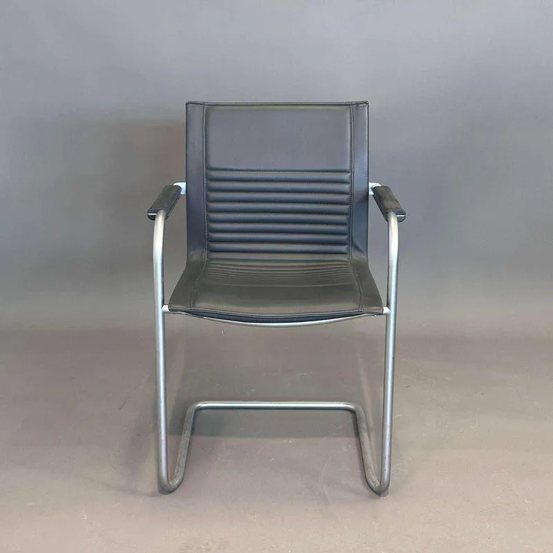 Walter Knoll Art Collection Freischwinger Leder grau