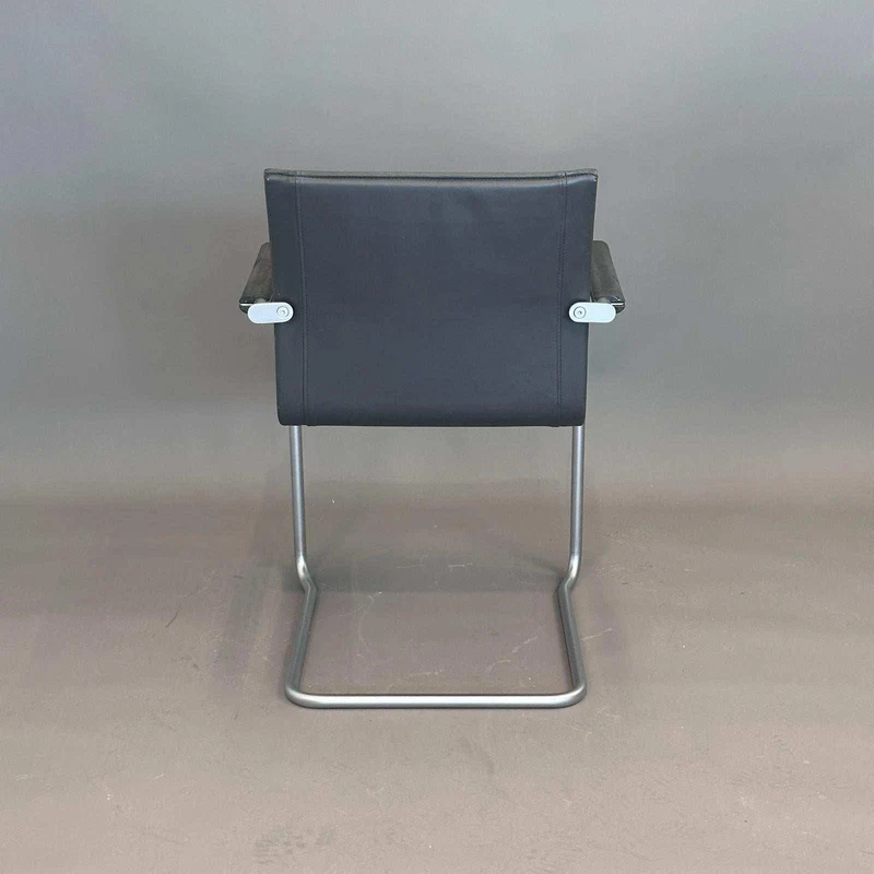 Walter Knoll Art Collection Freischwinger Leder grau