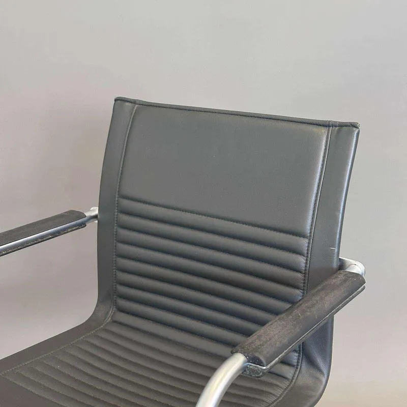 Walter Knoll Art Collection Freischwinger Leder grau