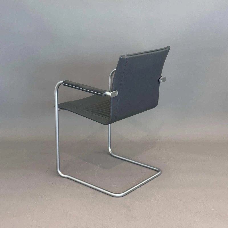Walter Knoll Art Collection Freischwinger Leder grau