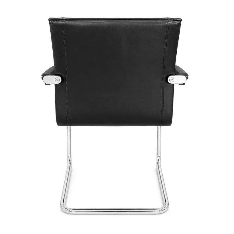Walter Knoll Art Collection Freischwinger Leder schwarz