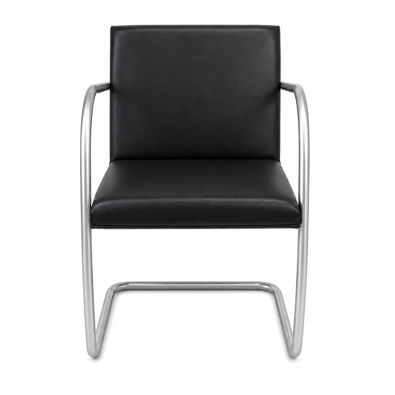 Walter Knoll Brno Armlehnstuhl Rundrohr