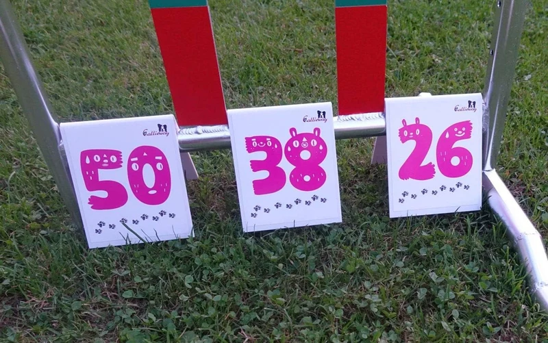 Callieway Agility Parcoursnummern/Rally Obedience Nummern/Zahlen - Set/Nummernschilder - durchnummer