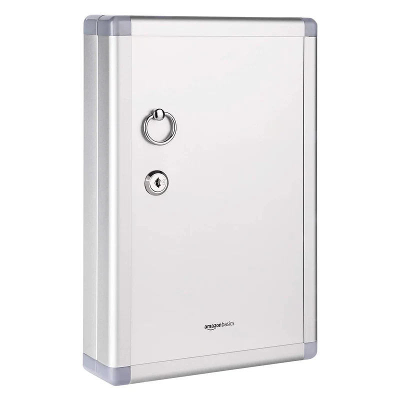 axisgo - Amazon Basics Schlüsselkasten für 24 Schlüssel, abschließbarer Kasten, Rechteckig, 6.1 x 21.6 x 31.8 cm, Silber