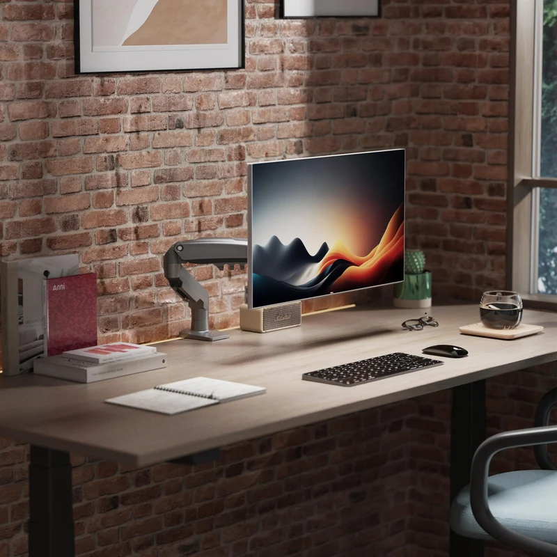 axisgo - Ergosolid für PC-Monitor, Gelenkarm, ergonomisch, Gasfeder, 17-30 Zoll, VESA 75 mm und 100 mm, drehbar 360 Degree F80-0