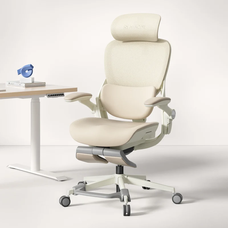 Hinomi Q2 Pro Ergonomic Office Chair with Free Footrest