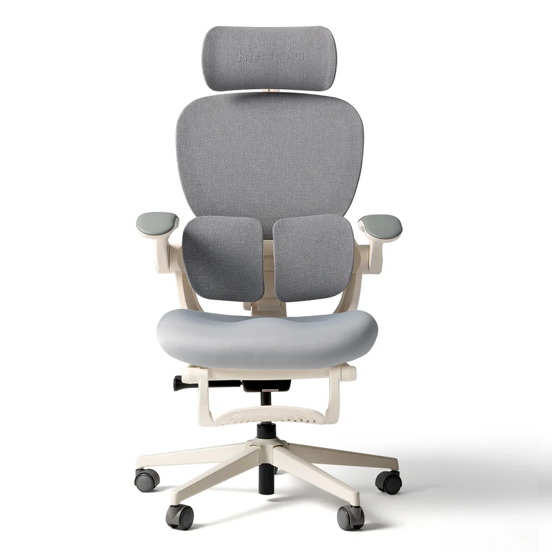 Hinomi Q2 Ergonomic Office Chair with Free Footrest