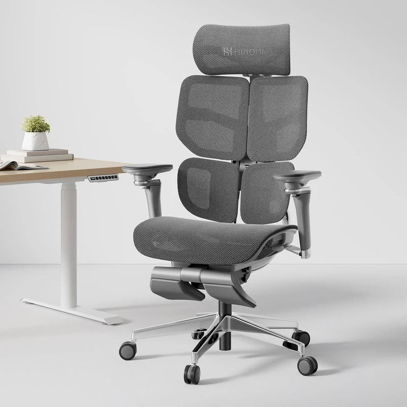 Hinomi X2 Pro Ergonomic Office Chair (X1 Upgraded)