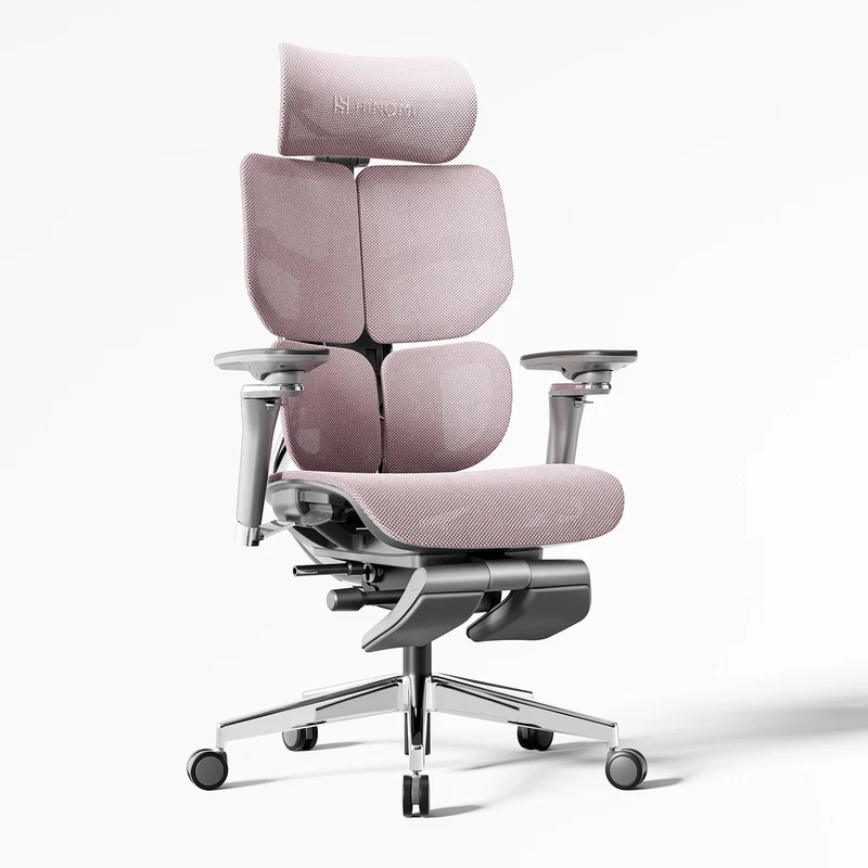 Hinomi X2 Pro Ergonomic Office Chair (X1 Upgraded)