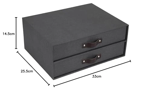 axisgo - BIGSO BIRGER Schubladenbox – Aufbewahrungsbox mit 2 Schubladen – Schreibtisch Ablage für Dokumente & Bürobedarf – Ablagesystem aus recycelter Faserplatte und Papier – schwarz