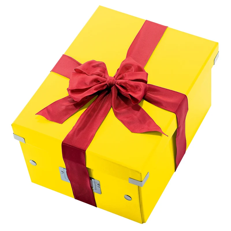 axisgo - Leitz Click & Store Aufbewahrungsbox mit Deckel Mittel-Groß, Box für Unterlagen bis A4 im Büro u. Haushalt, Transportbox aus 85 % recycelter Premium-Hartpappe, Stabile Metallgriffe, Gelb, 60440016