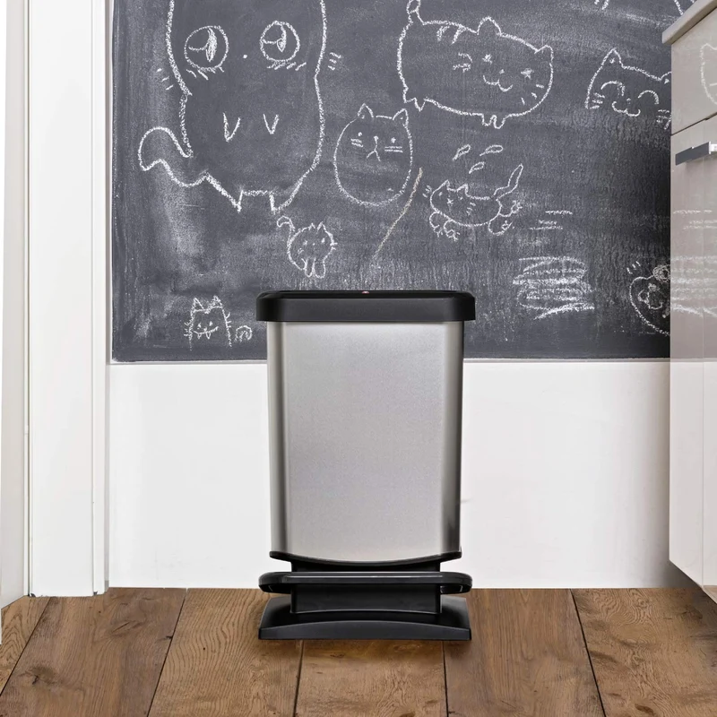 axisgo - Rotho Paso Mülleimer 20l mit Deckel, Kunststoff (PP recycelt) BPA-frei, rot, 20l (29.3 x 26.6 x 45.7 cm)