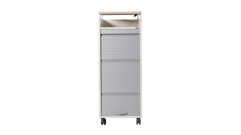 Rollcaddy Selvio von Svoboda für flexible Büroorganisation gebraucht