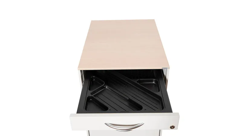 Rollcontainer Svoboda Tre gebraucht