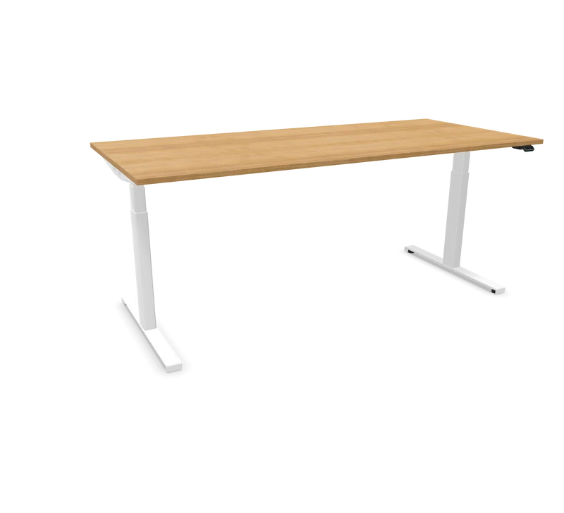 Hali Standing Desk S32 White