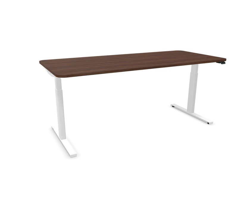 Hali Standing Desk S32 White