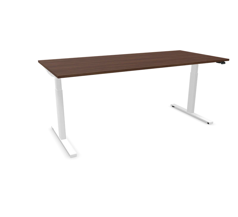 Hali Standing Desk S32 White