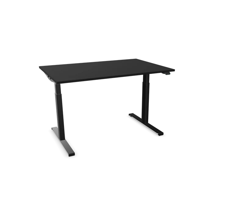 Hali Standing Desk S32 Black