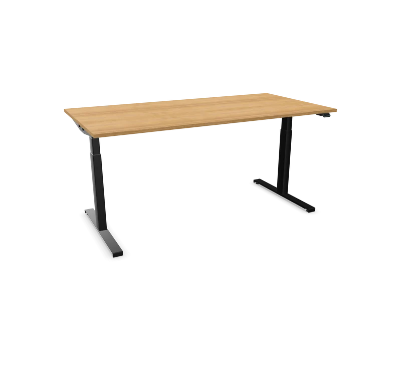 Hali Standing Desk S32 Black
