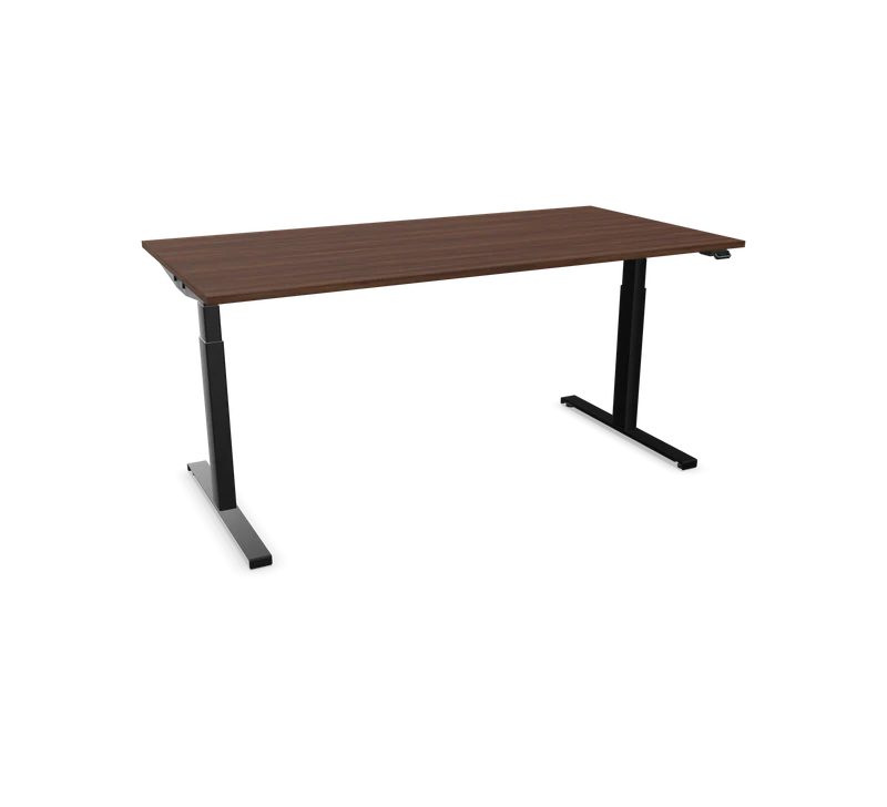 Hali Standing Desk S32 Black