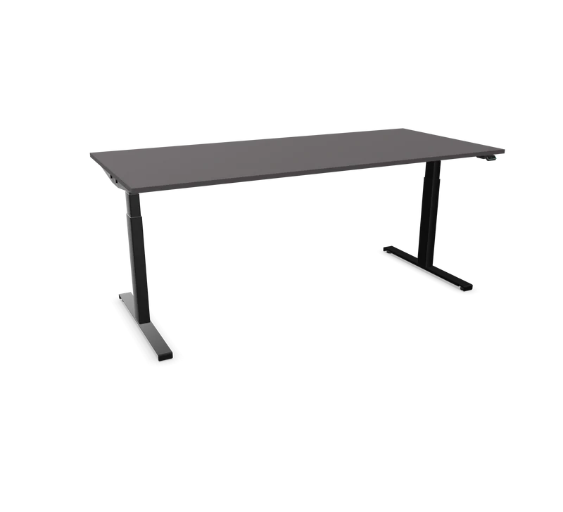 Hali Standing Desk S32 Black