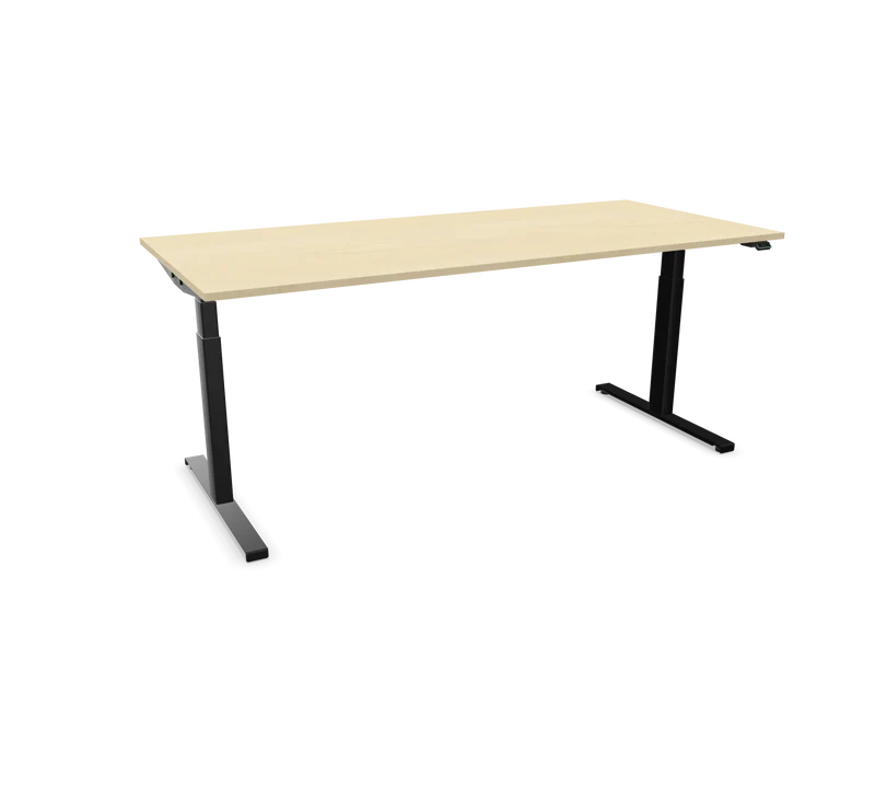 Hali Standing Desk S32 Black