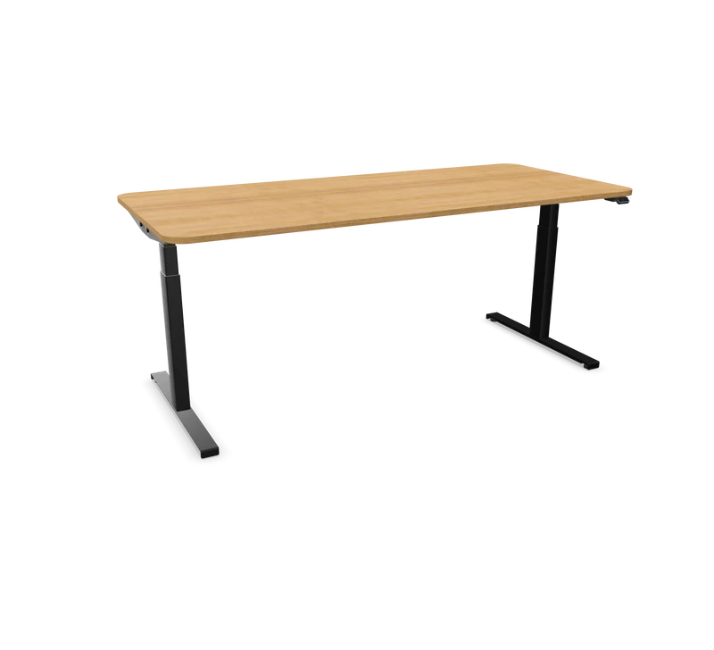 Hali Standing Desk S32 Black