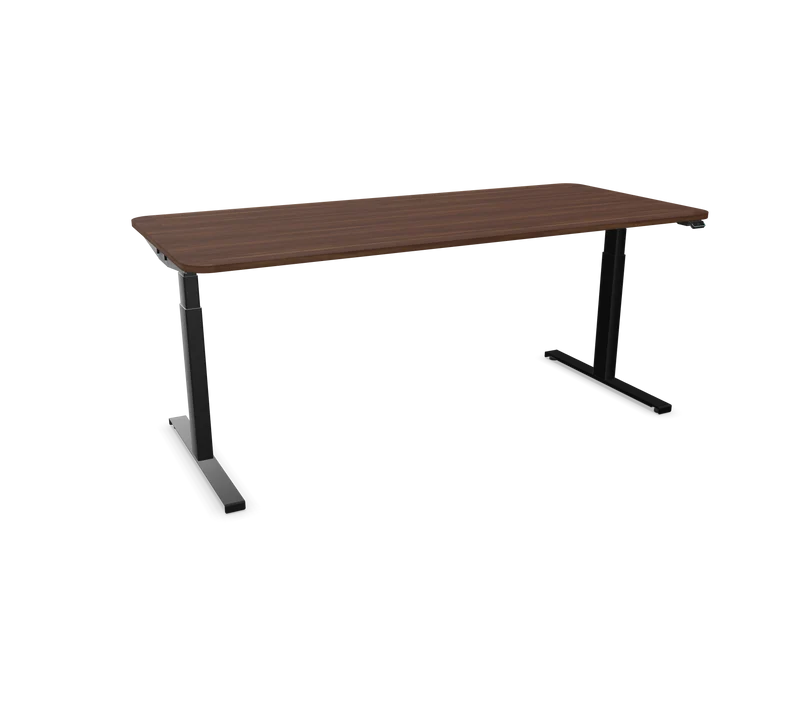Hali Standing Desk S32 Black