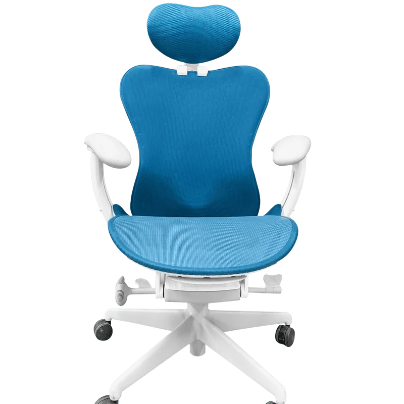Herman Miller Mirra 2 Chair and OfficeLogixShop Headrest Bundle