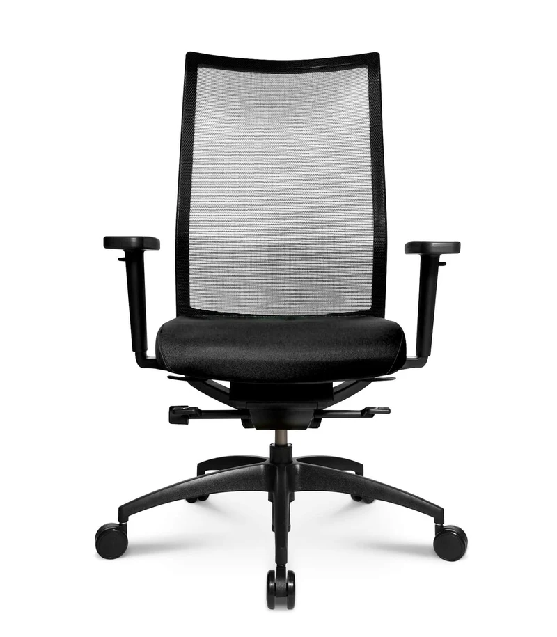 Wagner Ergomedic 100-2 mit Dondola