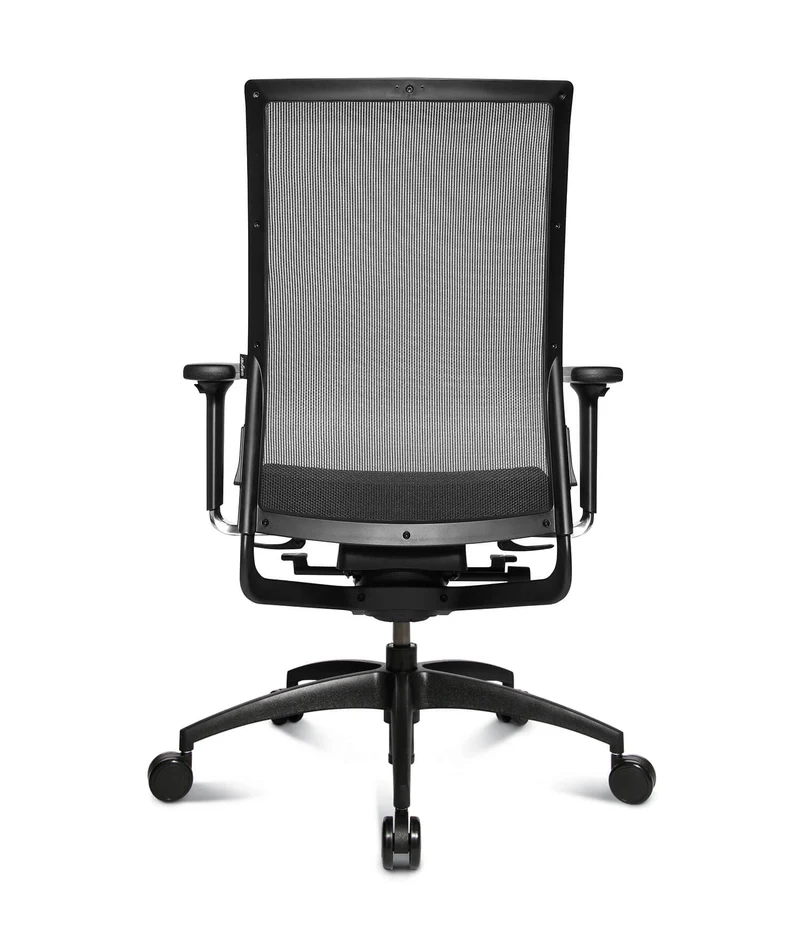 Wagner Ergomedic 100-2 mit Dondola