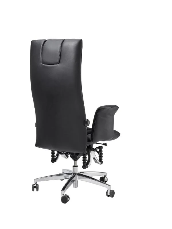 Bioswing 780 IQ Leder Detensor Bestseller