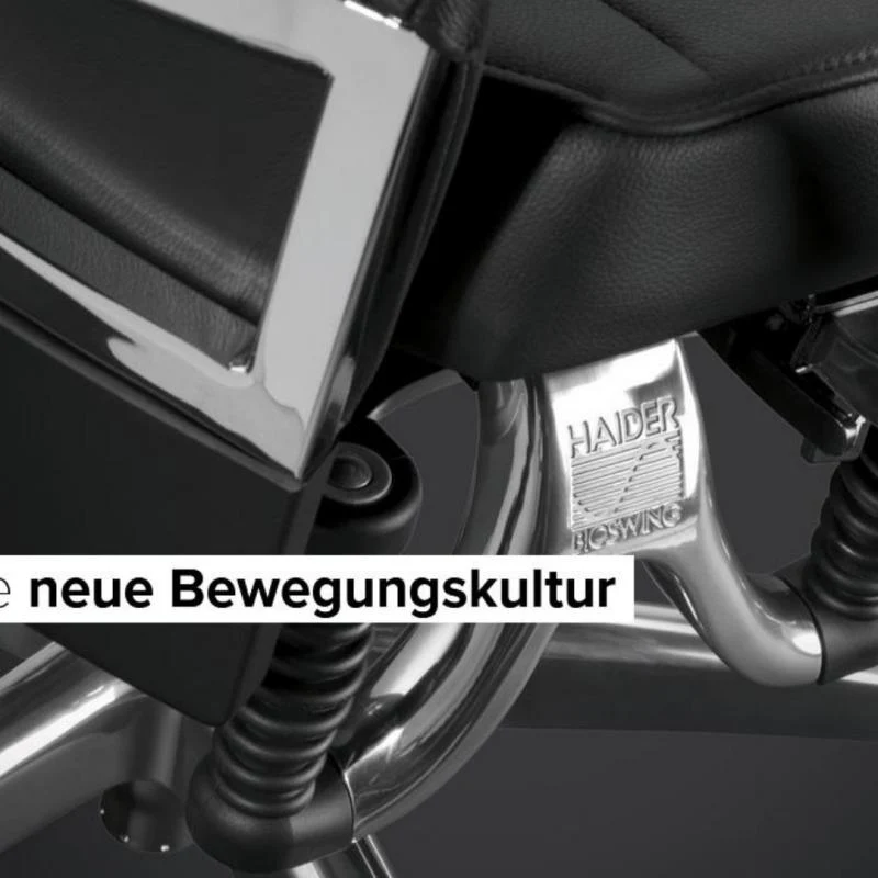 Bürostuhl Haider Bioswing 360 iQ Hausstuhl mit Nackenstütze, Beckenbalance und Gestell Alu poliert