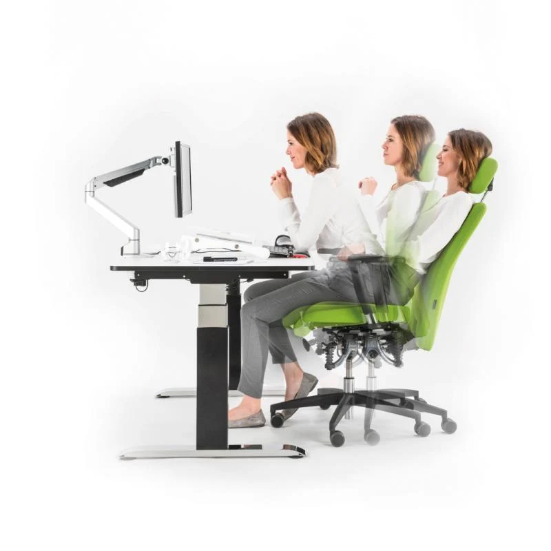 Bürostuhl Haider Bioswing 360 iQ Hausstuhl mit Nackenstütze, Beckenbalance und Gestell Alu poliert