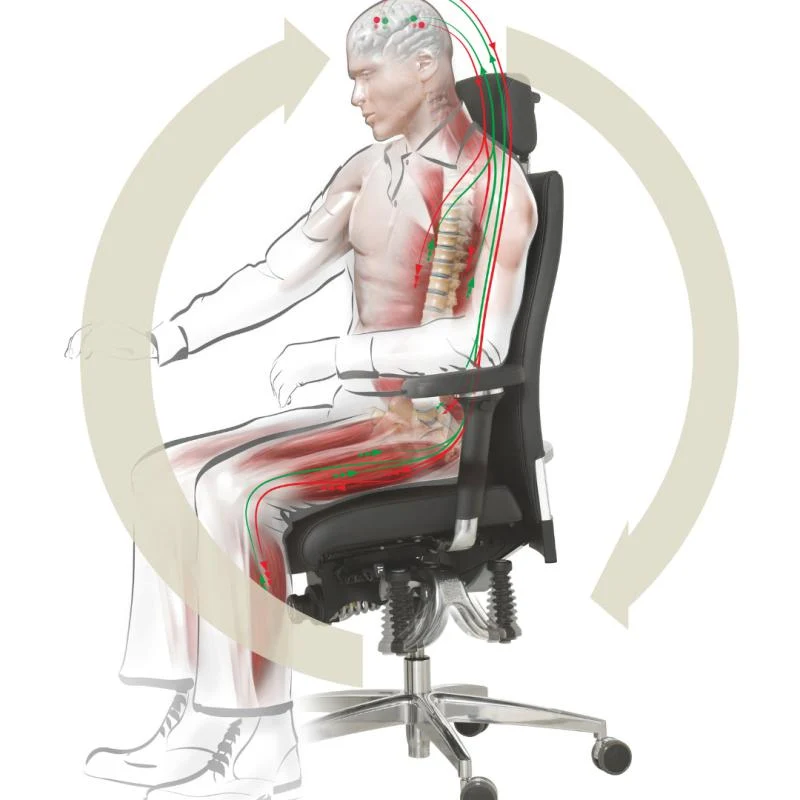 Bürostuhl Haider Bioswing 360 iQ Hausstuhl mit Nackenstütze, Beckenbalance und Gestell Alu poliert