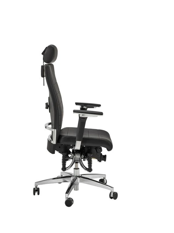 Bioswing 660 IQ Bestseller/Dick-Leder