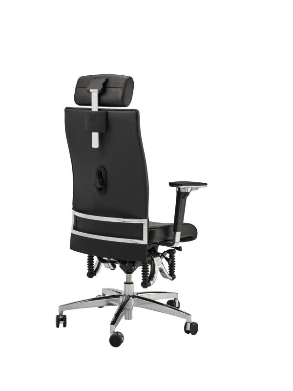 Bioswing 660 IQ Bestseller/Dick-Leder