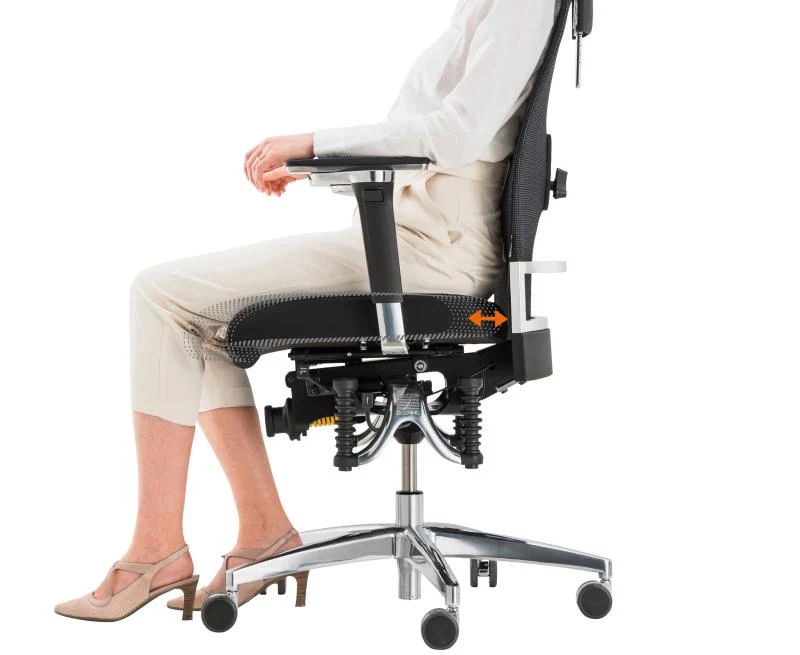 Bioswing 660 IQ Bestseller/Dick-Leder