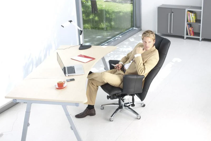 Bioswing 780 Bestseller/Dick-Leder