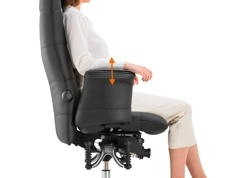 Bioswing 780 Bestseller/Dick-Leder