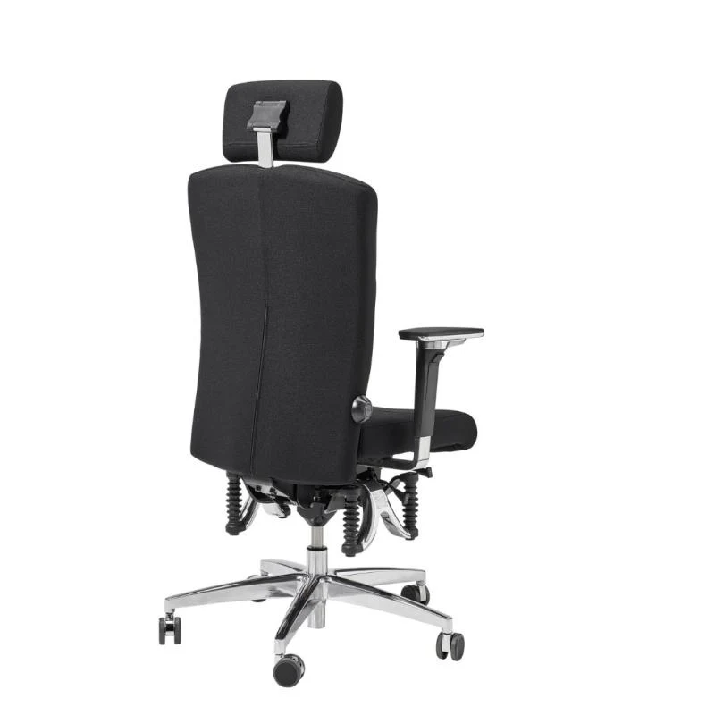 Bioswing 560 IQ-Bestseller / / Hausstuhl
