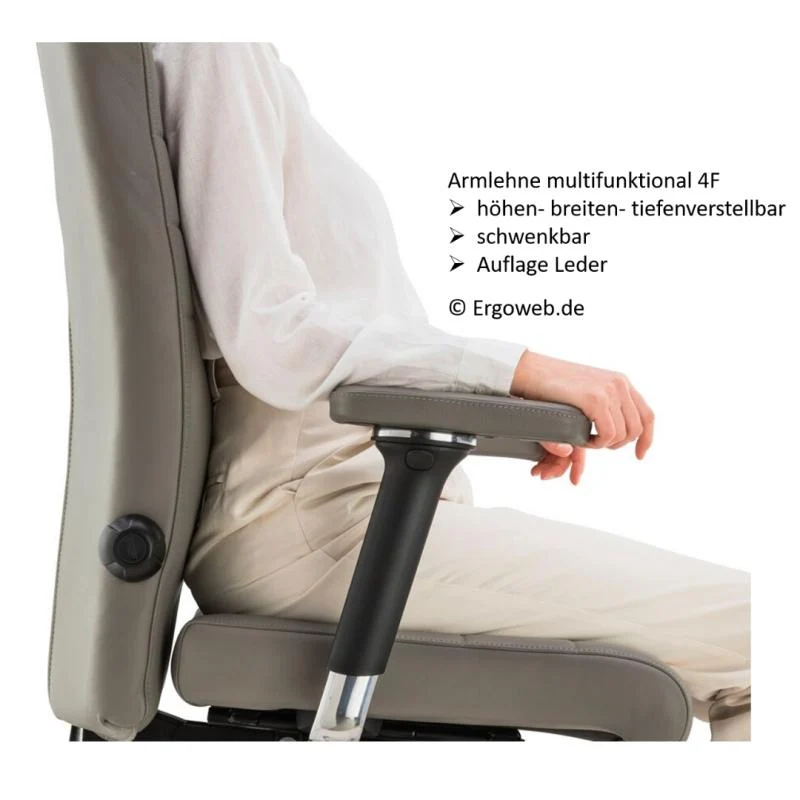 Bioswing 560 IQ-Bestseller / / Hausstuhl