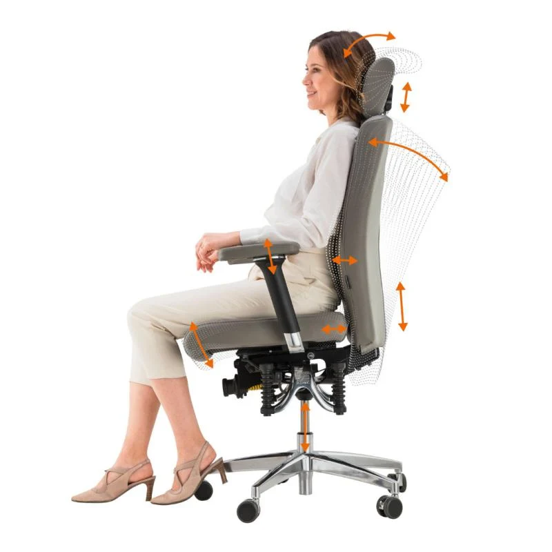 Bioswing 560 IQ-Bestseller / / Hausstuhl