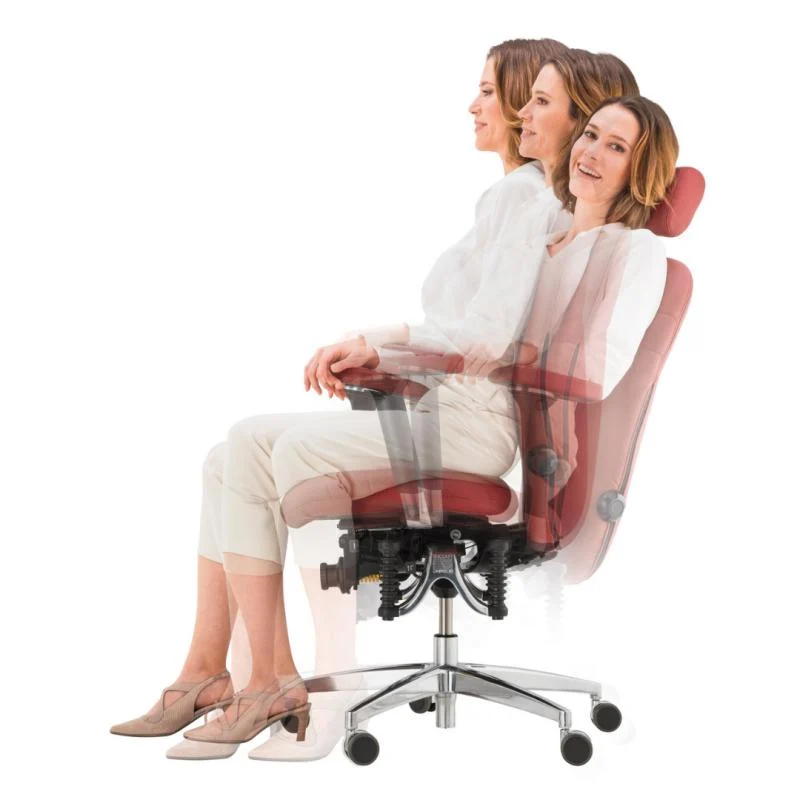 Bioswing 560 IQ-Bestseller / / Hausstuhl